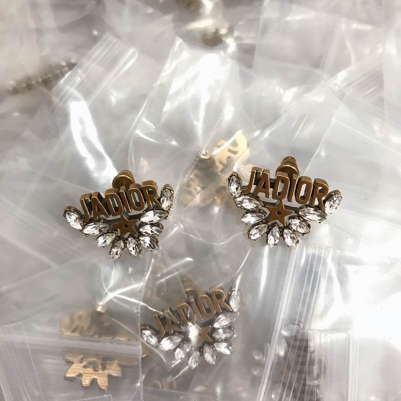 Dior Earring 04lyr263